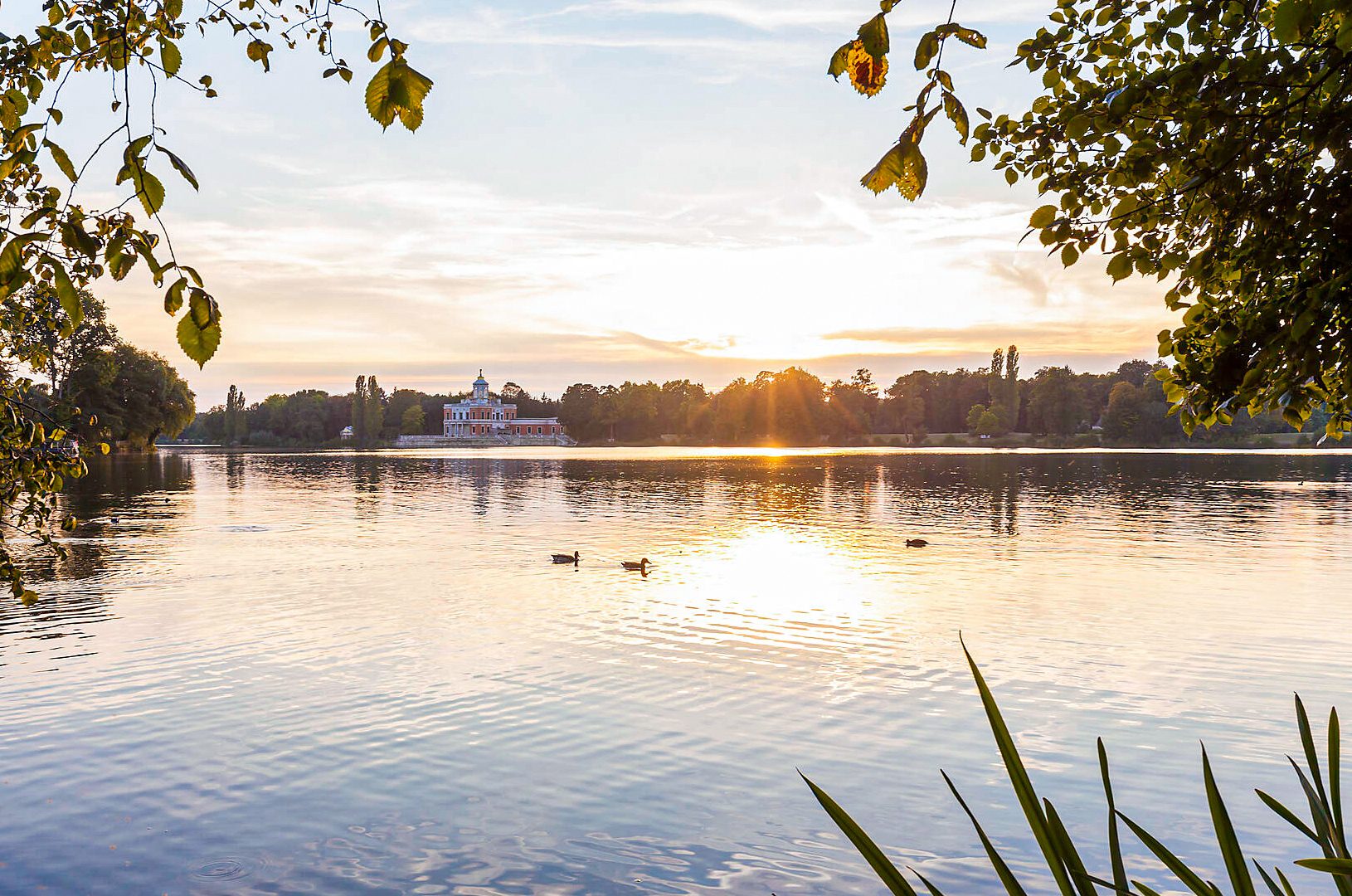 See neues Palais Abendstimmung Enten schloss Wasser Bäume