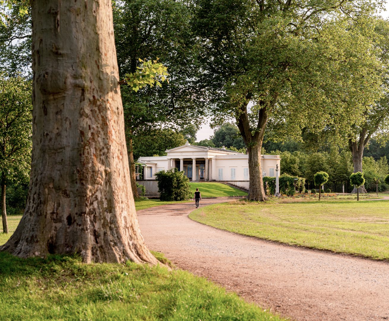 Parc Schloss Charlottenhof Bäume Weg